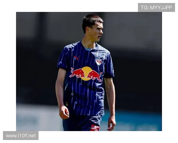 法甲冠军主力中场：维蒂尼亚的团队荣誉积累